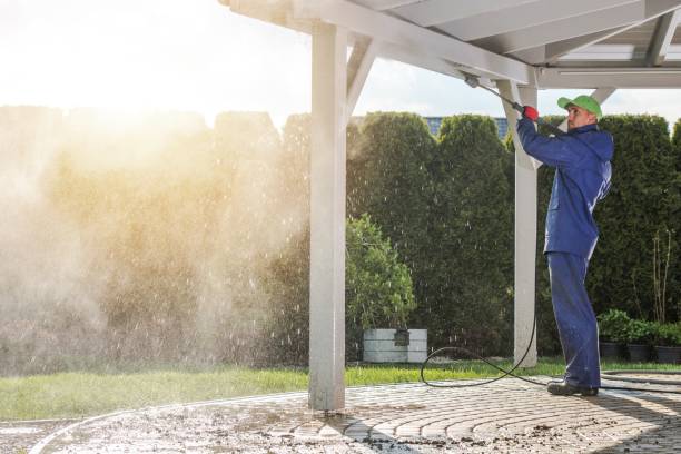 Best Restaurant Pressure Washing  in Ionia, MI
